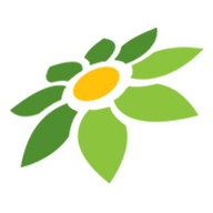 APK VN MOD